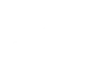 Broposol Logo w