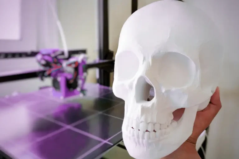 3D Printet Skull